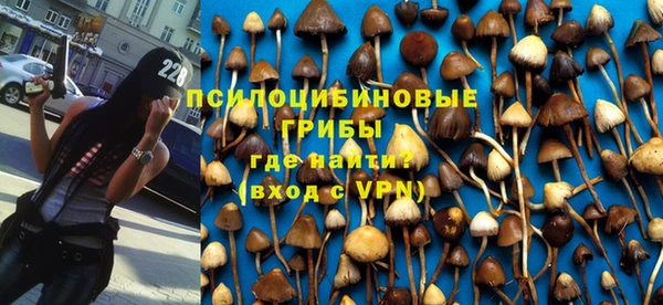Альфа ПВП Мегион