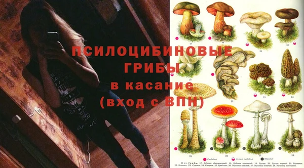 Альфа ПВП Мегион