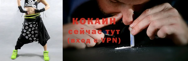 Альфа ПВП Мегион