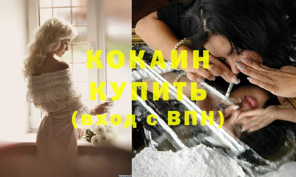 Альфа ПВП Мегион