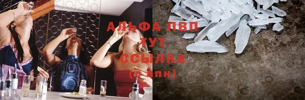 тгк Медногорск