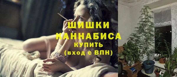 mdpv Медвежьегорск