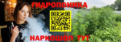 apvp Гай