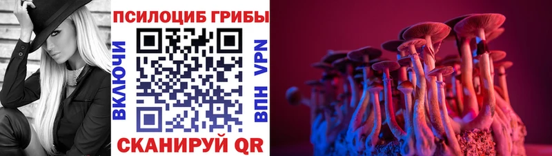 мориарти как зайти  Нарткала  Галлюциногенные грибы Psilocybine cubensis  наркошоп 