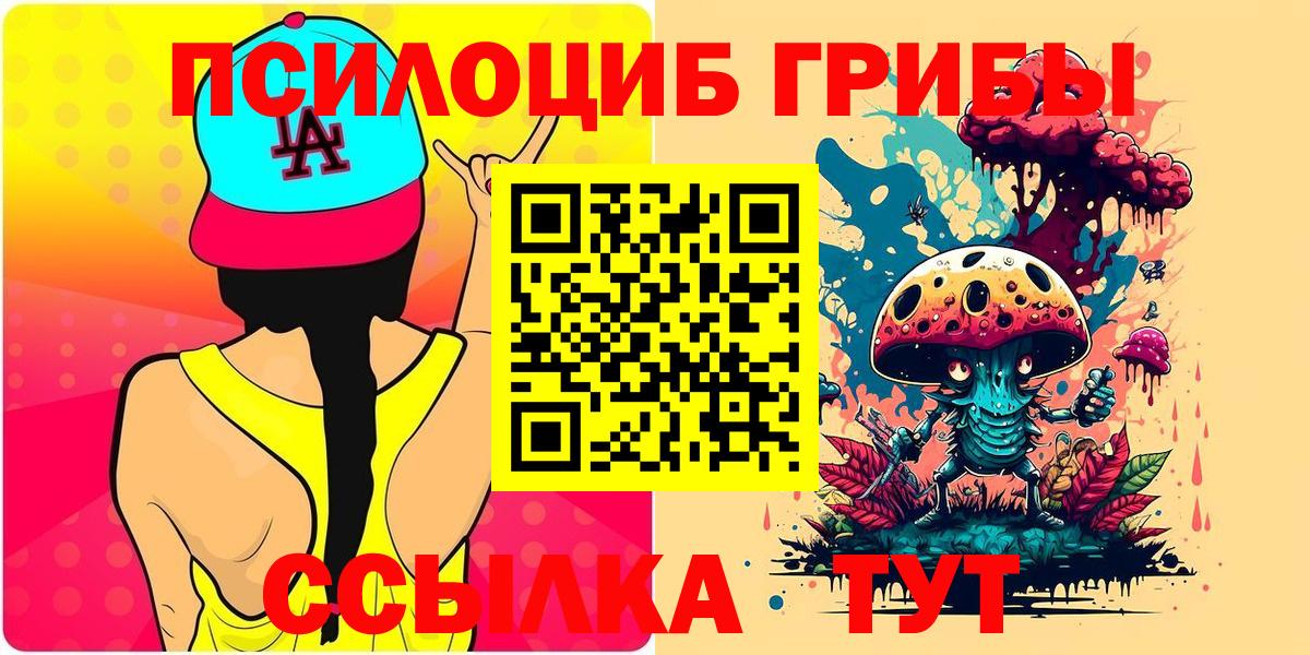 Галлюциногенные грибы Psilocybine cubensis  Вход с VPN  Псилоцибиновые грибы мицелий  Нарткала 