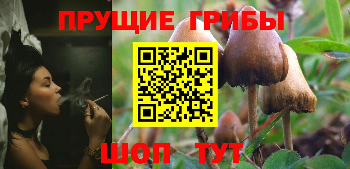 Галлюциногенные грибы мухоморы Нарткала